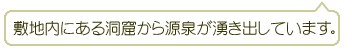 敷地内にある洞窟から源泉が湧き出しています。