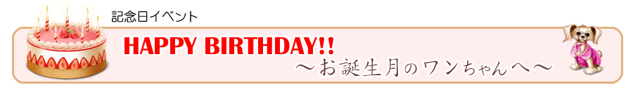 Happy Birthday! お誕生月のワンちゃんへ