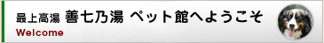 最上高湯 善七乃湯 ペット館へようこそ