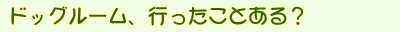 ドッグルーム、行ったことある？